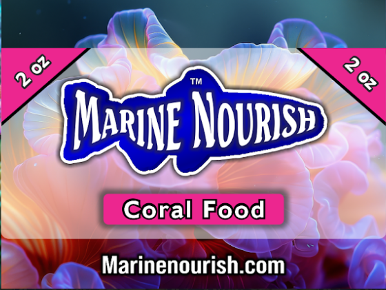 coral food